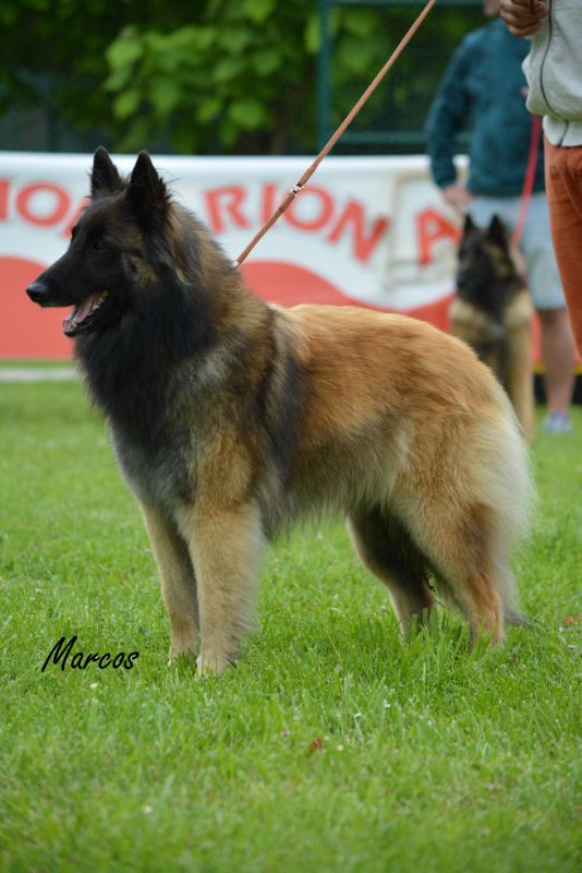 21-NEVADA DE FONTESERRA (1)